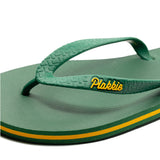 Plakkie Springbok (Groen en Geel)